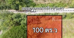ที่ดินแปลงเล็กราคาเบาทำเลดี อนาคตไกล ใกล้ความเจริญที่คลอง7 T.062-1574449