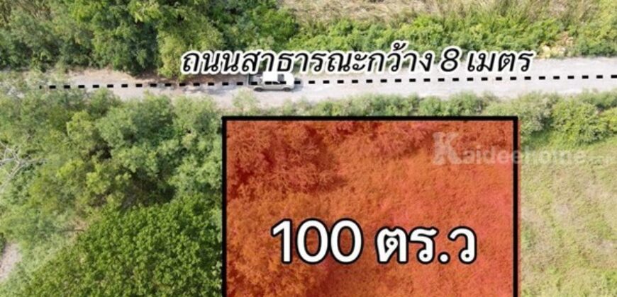 ที่ดินแปลงเล็กราคาเบาทำเลดี อนาคตไกล ใกล้ความเจริญที่คลอง7 T.062-1574449