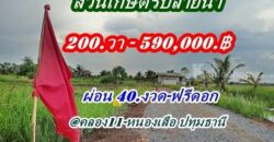 ที่ดินสวนเกษตร ชายทุ่ง ไม่ไกลกรุงแค่คลอง11 หนองเสือ ผ่อนได้สบายใจ- T.062-1574449
