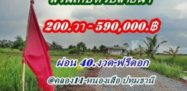 ที่ดินสวนเกษตร ชายทุ่ง ไม่ไกลกรุงแค่คลอง11 หนองเสือ ผ่อนได้สบายใจ- T.062-1574449