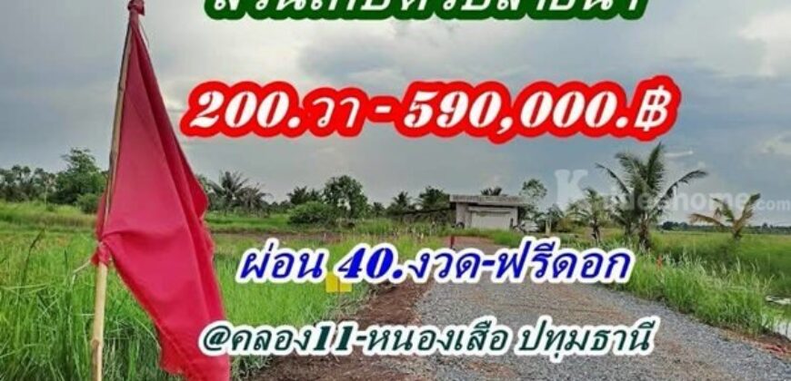 ที่ดินสวนเกษตร ชายทุ่ง ไม่ไกลกรุงแค่คลอง11 หนองเสือ ผ่อนได้สบายใจ- T.062-1574449