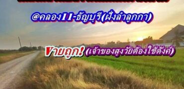 ที่ดินถมแล้วแปลงมุมติดถนน2ด้านเข้าออกได้-3.ทางที่คลอง11ธัญบุรี-T.062-1574449