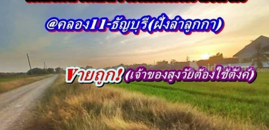 ที่ดินถมแล้วแปลงมุมติดถนน2ด้านเข้าออกได้-3.ทางที่คลอง11ธัญบุรี-T.062-1574449