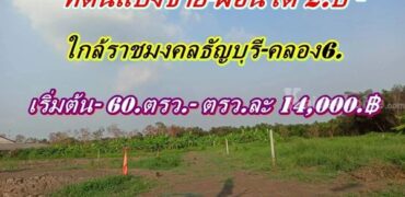 ที่ดินแบ่งขายผ่อนได้ 2.ปี.พื้นที่เจริญใกล้ราชมงคลธัญบุรีคลอง6.-T.062-1574449