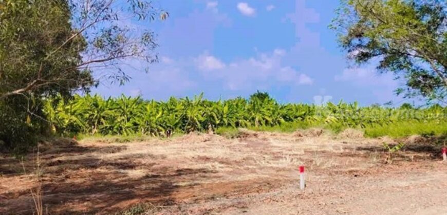 ขายด่วน ที่ดินหลังราชมงคล คลอง6 เนื้อที่ 50 ตร.ว. เเหล่งชุมชน ที่สวย ทำเลดี มีเซเว่น โทร 095-165-3654