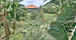 ขายถูกที่ดินนนทบุรี ติวานนท์-ปากเกร็ด 34 ติดถนน ซอยงบประมาณ ใกล้ Villette Lite ติวานนท์-แจ้งวัฒนะ