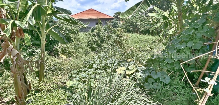 ขายถูกที่ดินนนทบุรี ติวานนท์-ปากเกร็ด 34 ติดถนน ซอยงบประมาณ ใกล้ Villette Lite ติวานนท์-แจ้งวัฒนะ