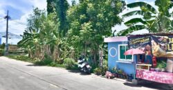 ขายถูกที่ดินนนทบุรี ติวานนท์-ปากเกร็ด 34 ติดถนน ซอยงบประมาณ ใกล้ Villette Lite ติวานนท์-แจ้งวัฒนะ