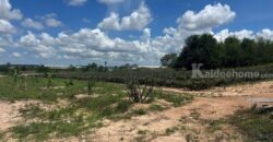 ขายที่ดินม่วงลาย ซอย11 นิคมพัฒนา ระยอง 20-2-25.6 ไร่