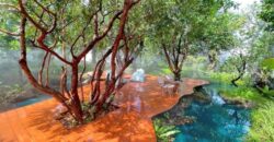 ส่งต่อกิจการคาเฟ่สุดฮิป บรรยากาศเรียบหรู ฟีลธรรมชาติ บ่อวิน ชลบุรี พร้อมดำเนินการกิจการต่อได้เลย