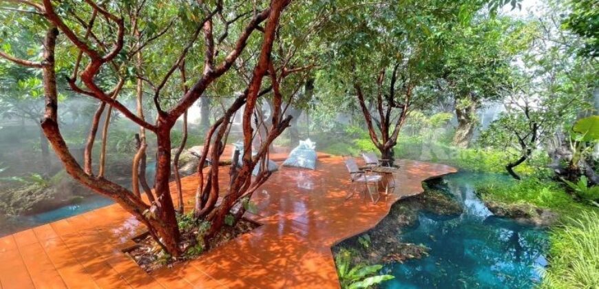 ส่งต่อกิจการคาเฟ่สุดฮิป บรรยากาศเรียบหรู ฟีลธรรมชาติ บ่อวิน ชลบุรี พร้อมดำเนินการกิจการต่อได้เลย