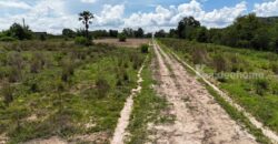 ขายที่ดินม่วงลาย ซอย11 นิคมพัฒนา ระยอง 20-2-25.6 ไร่