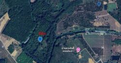 ขายที่ดิน 103 ไร่ บ่อพลอย ตราด ราคาถูกมาก! เหมาะทำเกษตร รีสอร์ต โฉนดพร้อมโอน