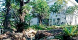 ส่งต่อกิจการคาเฟ่สุดฮิป บรรยากาศเรียบหรู ฟีลธรรมชาติ บ่อวิน ชลบุรี พร้อมดำเนินการกิจการต่อได้เลย