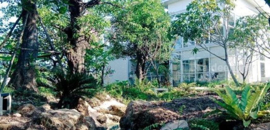 ส่งต่อกิจการคาเฟ่สุดฮิป บรรยากาศเรียบหรู ฟีลธรรมชาติ บ่อวิน ชลบุรี พร้อมดำเนินการกิจการต่อได้เลย