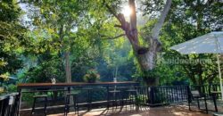 ขายบ้านติดน้ำลำตะคอง เขาใหญ่ ถนนธนะรัชต์ หมูสี ที่ดินพร้อมบ้านพูลวิลล่าริมน้ำเขาใหญ่ ปากช่อง ใกล้ปาลิโอ เทมส์ ทางขึ้นอุทยานแห่งชาติเขาใหญ่ ทำเลดีมาก เหมาะทำบ้านตากอากาศหรือกิจการโรมแรม 087-9074045