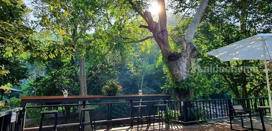 ขายบ้านติดน้ำลำตะคอง เขาใหญ่ ถนนธนะรัชต์ หมูสี ที่ดินพร้อมบ้านพูลวิลล่าริมน้ำเขาใหญ่ ปากช่อง ใกล้ปาลิโอ เทมส์ ทางขึ้นอุทยานแห่งชาติเขาใหญ่ ทำเลดีมาก เหมาะทำบ้านตากอากาศหรือกิจการโรมแรม 087-9074045