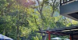 ขายบ้านติดน้ำลำตะคอง เขาใหญ่ ถนนธนะรัชต์ หมูสี ที่ดินพร้อมบ้านพูลวิลล่าริมน้ำเขาใหญ่ ปากช่อง ใกล้ปาลิโอ เทมส์ ทางขึ้นอุทยานแห่งชาติเขาใหญ่ ทำเลดีมาก เหมาะทำบ้านตากอากาศหรือกิจการโรมแรม 087-9074045