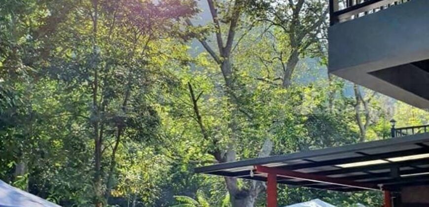 ขายบ้านติดน้ำลำตะคอง เขาใหญ่ ถนนธนะรัชต์ หมูสี ที่ดินพร้อมบ้านพูลวิลล่าริมน้ำเขาใหญ่ ปากช่อง ใกล้ปาลิโอ เทมส์ ทางขึ้นอุทยานแห่งชาติเขาใหญ่ ทำเลดีมาก เหมาะทำบ้านตากอากาศหรือกิจการโรมแรม 087-9074045