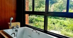 ขายบ้านติดน้ำลำตะคอง เขาใหญ่ ถนนธนะรัชต์ หมูสี ที่ดินพร้อมบ้านพูลวิลล่าริมน้ำเขาใหญ่ ปากช่อง ใกล้ปาลิโอ เทมส์ ทางขึ้นอุทยานแห่งชาติเขาใหญ่ ทำเลดีมาก เหมาะทำบ้านตากอากาศหรือกิจการโรมแรม 087-9074045