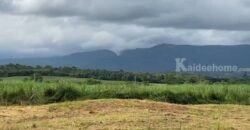 ขายที่ดินเขาใหญ่ โป่งตาลอง 20 ไร่ ที่สูงเทควิวเขาใหญ่สวยมาก บรรยากาศดีมาก วิวเขาล้อมรอบ ติดถนนลาดยาง โซนบ้านสระน้ำใส ทอสคานา เส้น 2213 ปากช่อง เหมาะจัดสรรแบ่งแปลงสร้างบ้านขาย 087-9074045