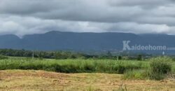 ขายที่ดินเขาใหญ่ โป่งตาลอง 20 ไร่ ที่สูงเทควิวเขาใหญ่สวยมาก บรรยากาศดีมาก วิวเขาล้อมรอบ ติดถนนลาดยาง โซนบ้านสระน้ำใส ทอสคานา เส้น 2213 ปากช่อง เหมาะจัดสรรแบ่งแปลงสร้างบ้านขาย 087-9074045