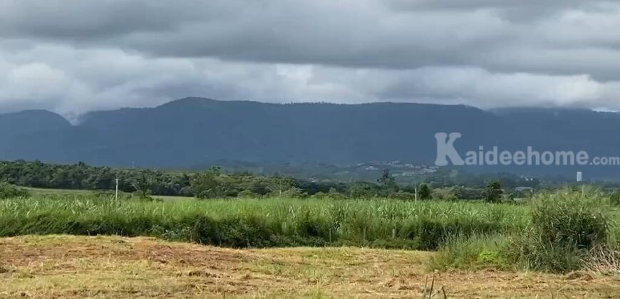 ขายที่ดินเขาใหญ่ โป่งตาลอง 20 ไร่ ที่สูงเทควิวเขาใหญ่สวยมาก บรรยากาศดีมาก วิวเขาล้อมรอบ ติดถนนลาดยาง โซนบ้านสระน้ำใส ทอสคานา เส้น 2213 ปากช่อง เหมาะจัดสรรแบ่งแปลงสร้างบ้านขาย 087-9074045