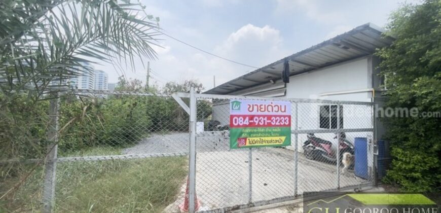 ขายที่ดินถมแล้ว 100 ตร.วา ทำเลทอง เดินทางสะดวก ใกล้แจ้งวัฒนะ ถมแล้ว พร้อมปลูกสร้างได้ทันที