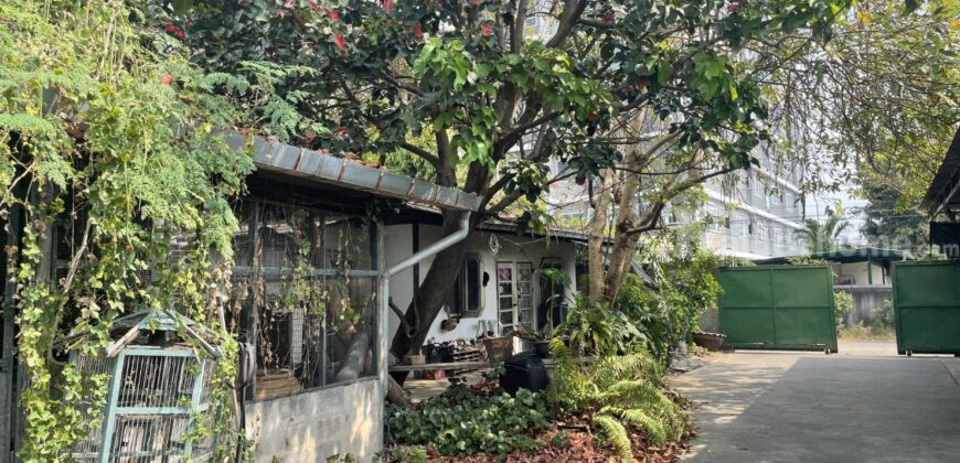 ขายที่ดินสุขุมวิท 77 ที่ดินแปลงใหญ่ 191 ตร.ว อ่อนนุช 14 อยู่อ่อนนุชช่วงต้นๆ ใกล้ BTS อ่อนนุช ถนนหน้าที่ดินกว้าง สภาพแวดล้อมดี เงียบสงบ ทำเลดีมาก ปากซอยมีห้างแม็คโคร ใกล้ T77 ฮาบิโตะ ทะลุปรีดี พัฒนาการสะดวก 087-9074045
