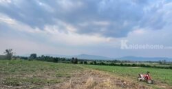 ขายที่คลองม่วง ปากช่อง แปลงใหญ่ 101 ไร่ ที่เนินสูงมองเห็นวิวเขายายเที่ยง มีลำห้วยข้างที่ จะมีน้ำไหลผ่านช่วงหน้าฝน ดินดี อุดมสมบูรณ์ ใกล้ถนนใหญ่ 3060 อยู่หลัง อบต คลองม่วง ก่อนถึง Tayama Farm 087-9074045