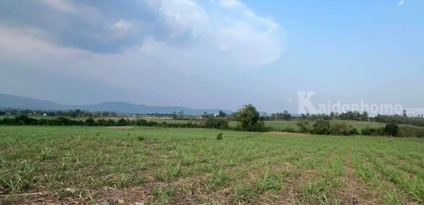 ขายที่คลองม่วง ปากช่อง แปลงใหญ่ 101 ไร่ ที่เนินสูงมองเห็นวิวเขายายเที่ยง มีลำห้วยข้างที่ จะมีน้ำไหลผ่านช่วงหน้าฝน ดินดี อุดมสมบูรณ์ ใกล้ถนนใหญ่ 3060 อยู่หลัง อบต คลองม่วง ก่อนถึง Tayama Farm 087-9074045