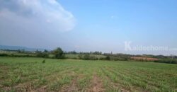 ขายที่คลองม่วง ปากช่อง แปลงใหญ่ 101 ไร่ ที่เนินสูงมองเห็นวิวเขายายเที่ยง มีลำห้วยข้างที่ จะมีน้ำไหลผ่านช่วงหน้าฝน ดินดี อุดมสมบูรณ์ ใกล้ถนนใหญ่ 3060 อยู่หลัง อบต คลองม่วง ก่อนถึง Tayama Farm 087-9074045