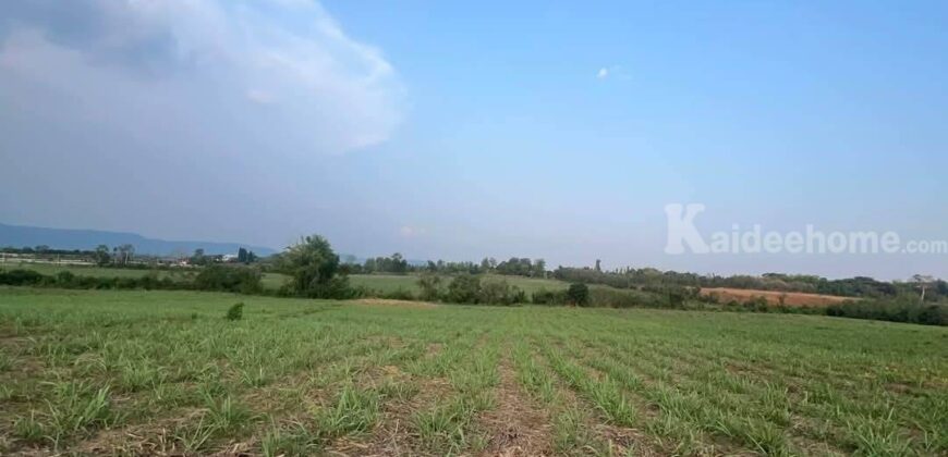 ขายที่คลองม่วง ปากช่อง แปลงใหญ่ 101 ไร่ ที่เนินสูงมองเห็นวิวเขายายเที่ยง มีลำห้วยข้างที่ จะมีน้ำไหลผ่านช่วงหน้าฝน ดินดี อุดมสมบูรณ์ ใกล้ถนนใหญ่ 3060 อยู่หลัง อบต คลองม่วง ก่อนถึง Tayama Farm 087-9074045