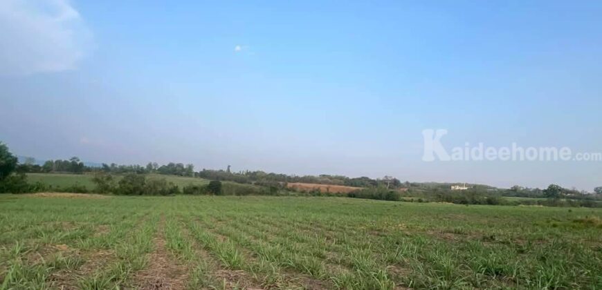 ขายที่คลองม่วง ปากช่อง แปลงใหญ่ 101 ไร่ ที่เนินสูงมองเห็นวิวเขายายเที่ยง มีลำห้วยข้างที่ จะมีน้ำไหลผ่านช่วงหน้าฝน ดินดี อุดมสมบูรณ์ ใกล้ถนนใหญ่ 3060 อยู่หลัง อบต คลองม่วง ก่อนถึง Tayama Farm 087-9074045