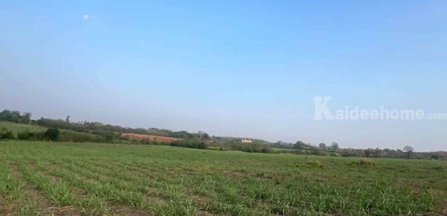 ขายที่คลองม่วง ปากช่อง แปลงใหญ่ 101 ไร่ ที่เนินสูงมองเห็นวิวเขายายเที่ยง มีลำห้วยข้างที่ จะมีน้ำไหลผ่านช่วงหน้าฝน ดินดี อุดมสมบูรณ์ ใกล้ถนนใหญ่ 3060 อยู่หลัง อบต คลองม่วง ก่อนถึง Tayama Farm 087-9074045