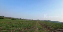 ขายที่คลองม่วง ปากช่อง แปลงใหญ่ 101 ไร่ ที่เนินสูงมองเห็นวิวเขายายเที่ยง มีลำห้วยข้างที่ จะมีน้ำไหลผ่านช่วงหน้าฝน ดินดี อุดมสมบูรณ์ ใกล้ถนนใหญ่ 3060 อยู่หลัง อบต คลองม่วง ก่อนถึง Tayama Farm 087-9074045