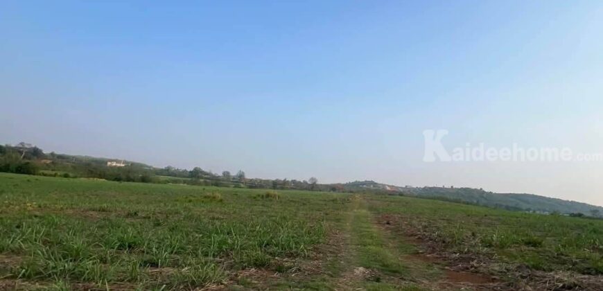 ขายที่คลองม่วง ปากช่อง แปลงใหญ่ 101 ไร่ ที่เนินสูงมองเห็นวิวเขายายเที่ยง มีลำห้วยข้างที่ จะมีน้ำไหลผ่านช่วงหน้าฝน ดินดี อุดมสมบูรณ์ ใกล้ถนนใหญ่ 3060 อยู่หลัง อบต คลองม่วง ก่อนถึง Tayama Farm 087-9074045