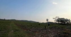 ขายที่คลองม่วง ปากช่อง แปลงใหญ่ 101 ไร่ ที่เนินสูงมองเห็นวิวเขายายเที่ยง มีลำห้วยข้างที่ จะมีน้ำไหลผ่านช่วงหน้าฝน ดินดี อุดมสมบูรณ์ ใกล้ถนนใหญ่ 3060 อยู่หลัง อบต คลองม่วง ก่อนถึง Tayama Farm 087-9074045