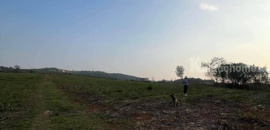 ขายที่คลองม่วง ปากช่อง แปลงใหญ่ 101 ไร่ ที่เนินสูงมองเห็นวิวเขายายเที่ยง มีลำห้วยข้างที่ จะมีน้ำไหลผ่านช่วงหน้าฝน ดินดี อุดมสมบูรณ์ ใกล้ถนนใหญ่ 3060 อยู่หลัง อบต คลองม่วง ก่อนถึง Tayama Farm 087-9074045