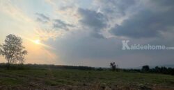 ขายที่คลองม่วง ปากช่อง แปลงใหญ่ 101 ไร่ ที่เนินสูงมองเห็นวิวเขายายเที่ยง มีลำห้วยข้างที่ จะมีน้ำไหลผ่านช่วงหน้าฝน ดินดี อุดมสมบูรณ์ ใกล้ถนนใหญ่ 3060 อยู่หลัง อบต คลองม่วง ก่อนถึง Tayama Farm 087-9074045