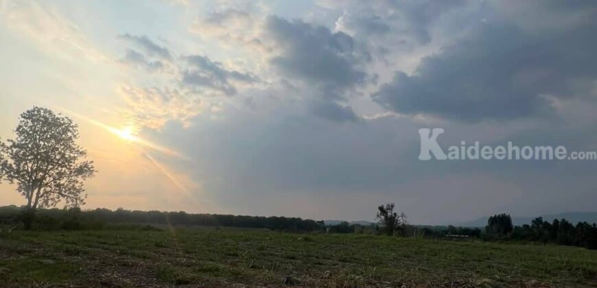 ขายที่คลองม่วง ปากช่อง แปลงใหญ่ 101 ไร่ ที่เนินสูงมองเห็นวิวเขายายเที่ยง มีลำห้วยข้างที่ จะมีน้ำไหลผ่านช่วงหน้าฝน ดินดี อุดมสมบูรณ์ ใกล้ถนนใหญ่ 3060 อยู่หลัง อบต คลองม่วง ก่อนถึง Tayama Farm 087-9074045