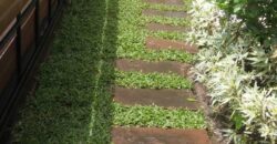 บ้านพร้อมผู้เช่า ใกล้โรงเรียนนานาชาติ ACIS , ABS , Unity Concord , Varee