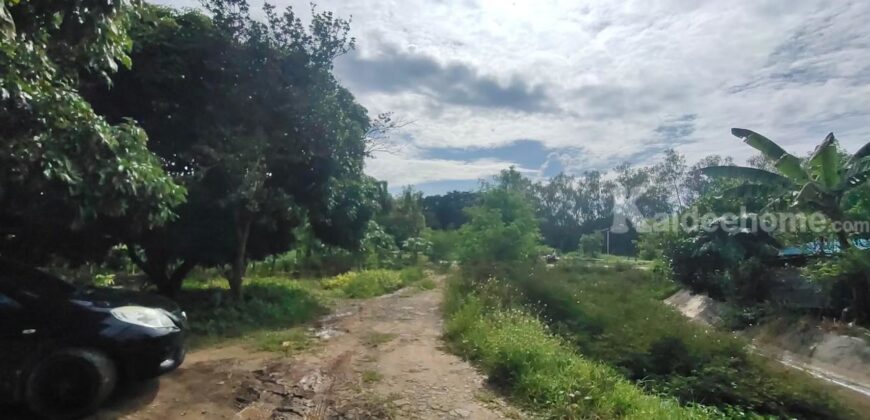 ขายที่ดิน ใกล้แยกกองทราย สารภี ต.ไชนสถาน อ.สารภี จ.เชียงใหม่