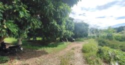 ขายที่ดิน ใกล้แยกกองทราย สารภี ต.ไชนสถาน อ.สารภี จ.เชียงใหม่