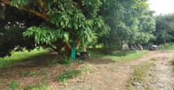 ขายที่ดิน ใกล้แยกกองทราย สารภี ต.ไชนสถาน อ.สารภี จ.เชียงใหม่