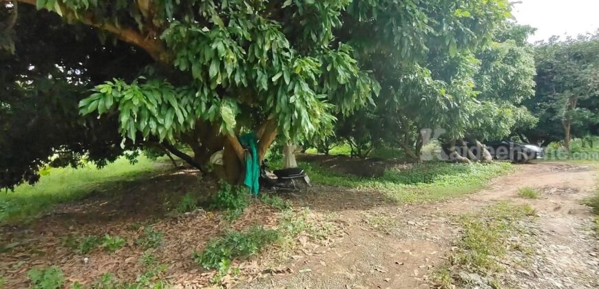 ขายที่ดิน ใกล้แยกกองทราย สารภี ต.ไชนสถาน อ.สารภี จ.เชียงใหม่