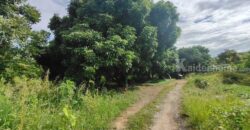 ขายที่ดิน ใกล้แยกกองทราย สารภี ต.ไชนสถาน อ.สารภี จ.เชียงใหม่