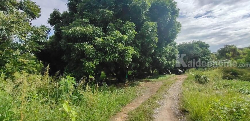 ขายที่ดิน ใกล้แยกกองทราย สารภี ต.ไชนสถาน อ.สารภี จ.เชียงใหม่