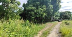 ขายที่ดิน ใกล้แยกกองทราย สารภี ต.ไชนสถาน อ.สารภี จ.เชียงใหม่