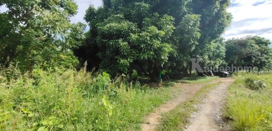 ขายที่ดิน ใกล้แยกกองทราย สารภี ต.ไชนสถาน อ.สารภี จ.เชียงใหม่